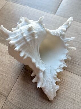 Large White Resin Murex Conch Shell Sculpture 9” Coastal Beach Decor